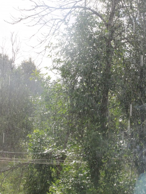 проливной дождь и солнце, июль 2013