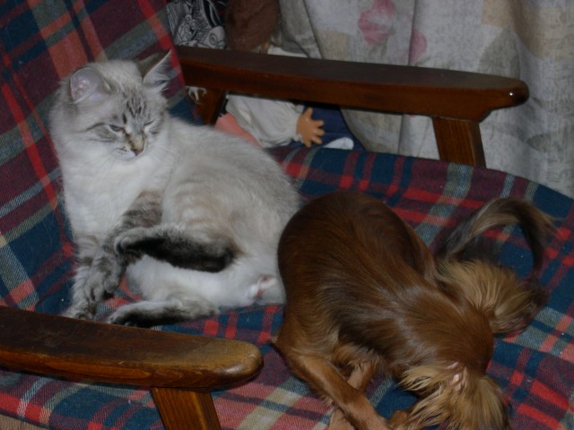 Анна, Санкт-Петербург, м. Улица Дыбенко. Фото на сайте ГдеПапа.Ру