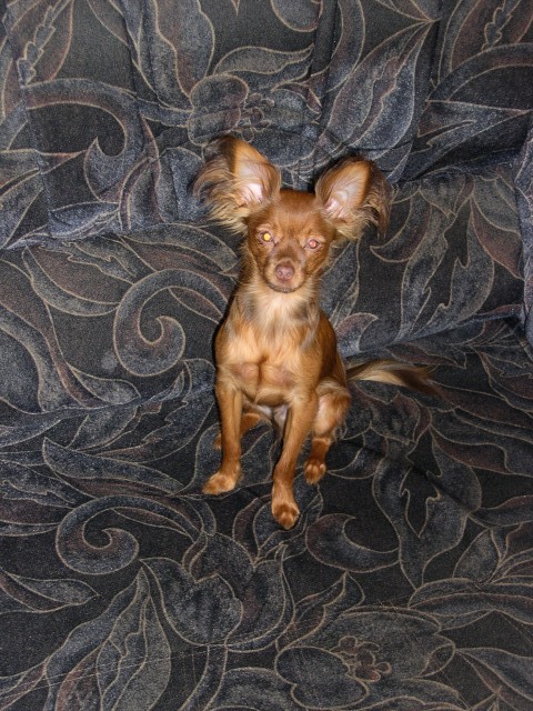 Анна, Санкт-Петербург, м. Улица Дыбенко. Фото на сайте ГдеПапа.Ру