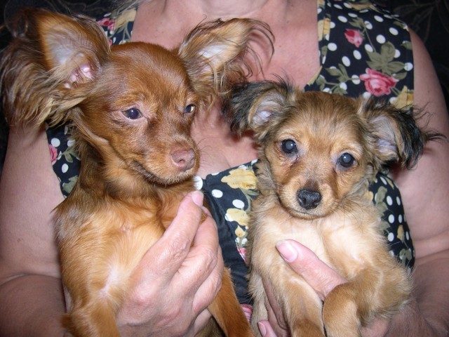 Анна, Санкт-Петербург, м. Улица Дыбенко. Фото на сайте ГдеПапа.Ру