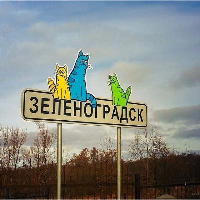 Зеленоградск ( Калининградская область )