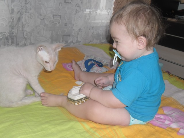 Виктория, Санкт-Петербург, м. Проспект Ветеранов. Фото на сайте ГдеПапа.Ру