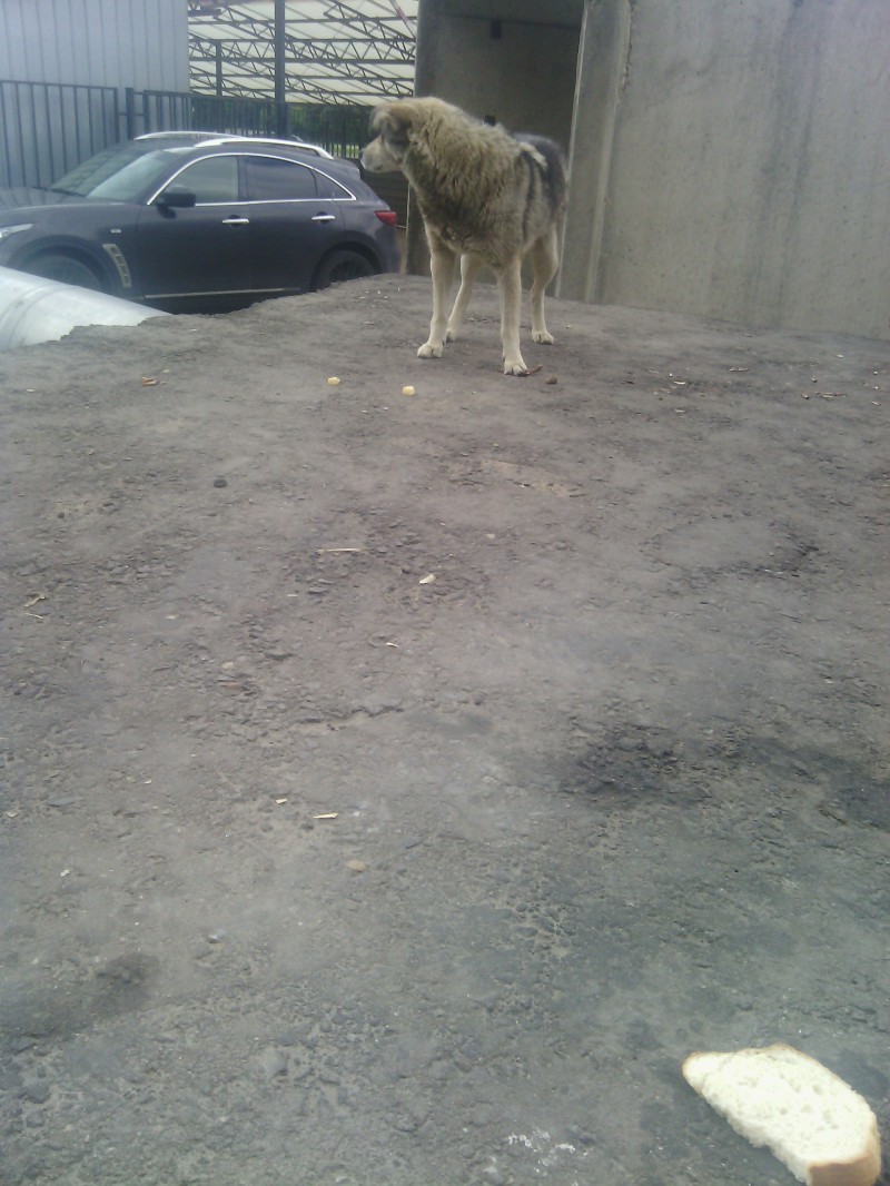 как я провел прошлый вечер