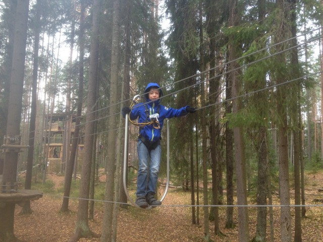 Alex, Санкт-Петербург, м. Владимирская. Фото на сайте ГдеПапа.Ру
