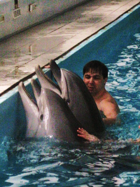 пару лет назад... был дильфинарий на семёновской