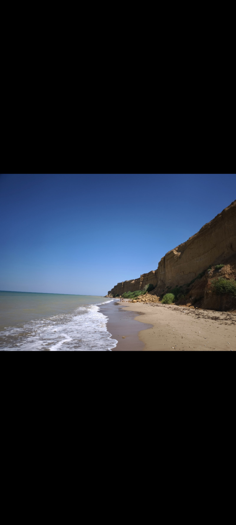 Краски лета- 2025 ♥️💙🧡