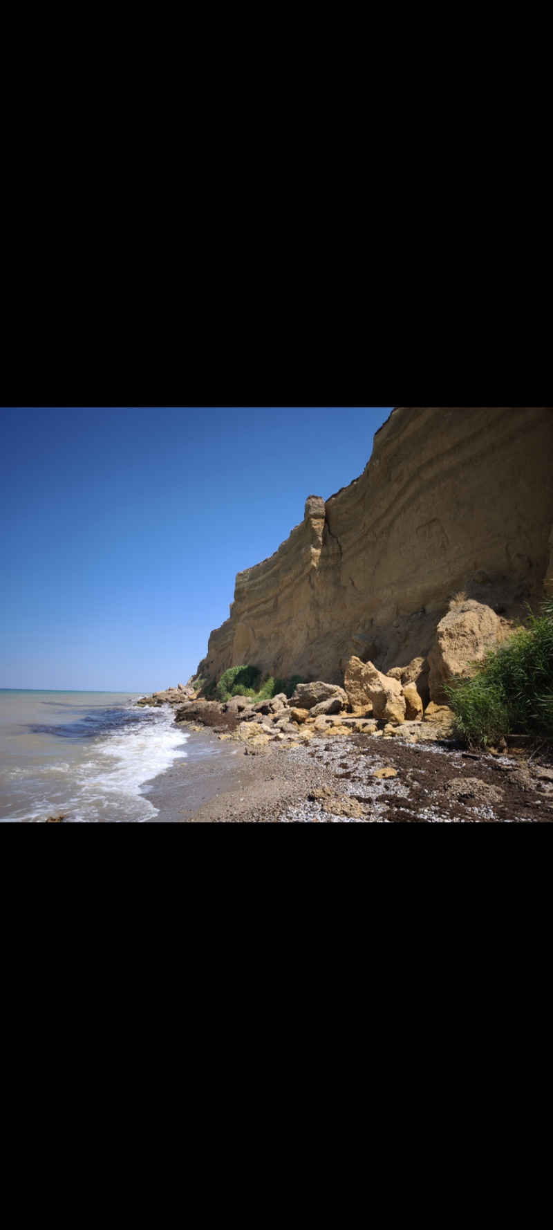 Краски лета- 2025 ♥️💙🧡