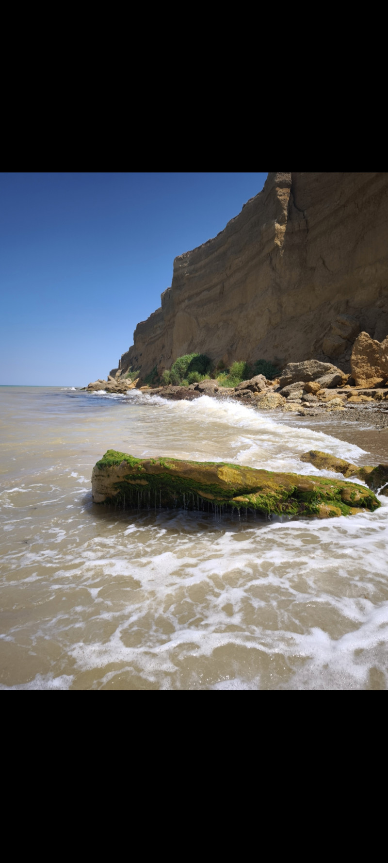 Краски лета- 2025 ♥️💙🧡