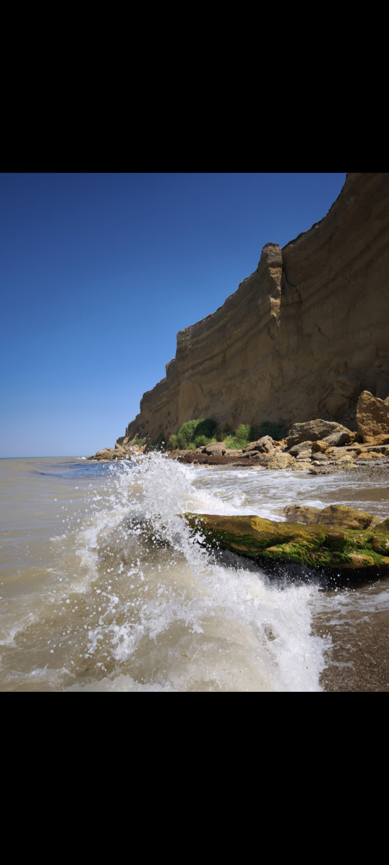Краски лета- 2025 ♥️💙🧡