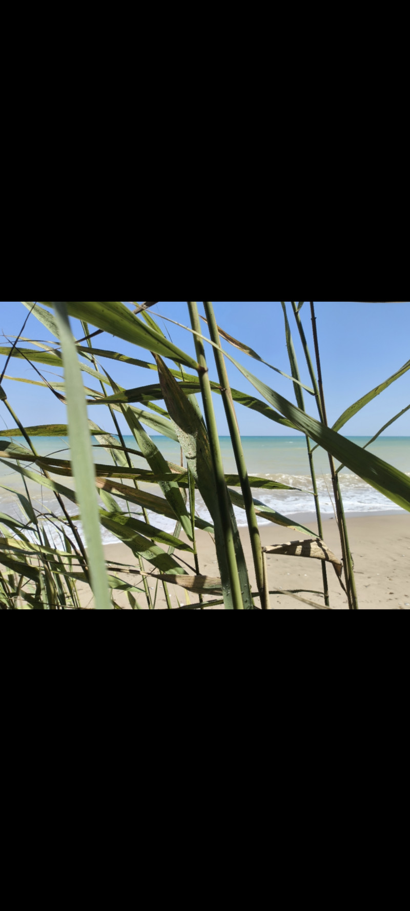 Краски лета- 2025 ♥️💙🧡