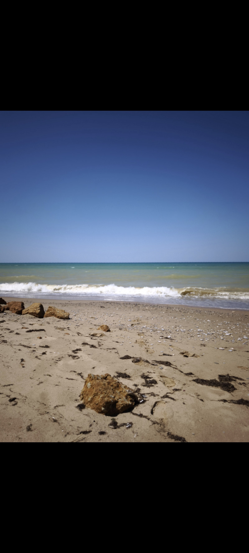 Краски лета- 2025 ♥️💙🧡