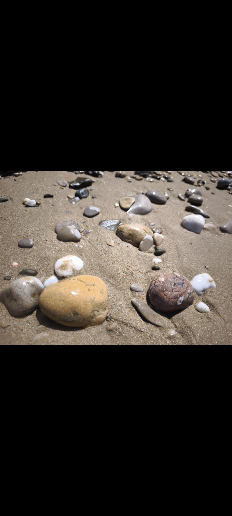 Краски лета- 2025 ♥️💙🧡