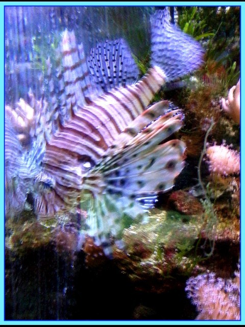 Лилия, Украина, Одесса. Фото на сайте ГдеПапа.Ру