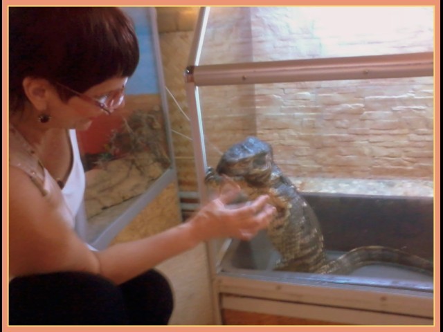 Лилия, Украина, Одесса. Фото на сайте ГдеПапа.Ру