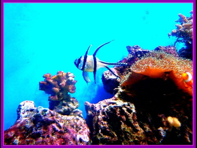 Лилия, Украина, Одесса. Фото на сайте ГдеПапа.Ру