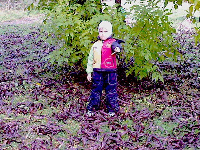 Лилия, Украина, Одесса. Фото на сайте ГдеПапа.Ру