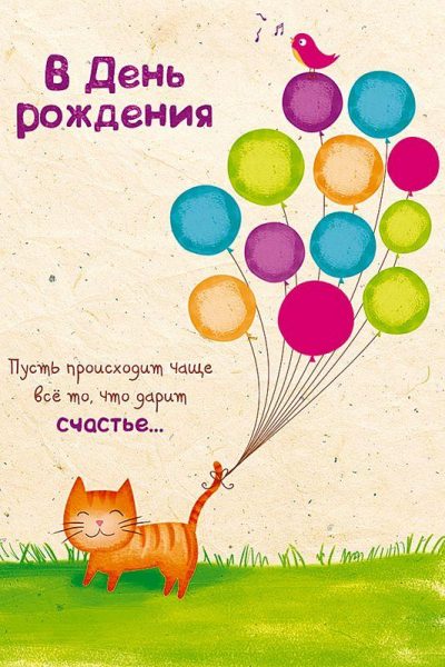 Кошка в кедахХ, с Днём рождения!