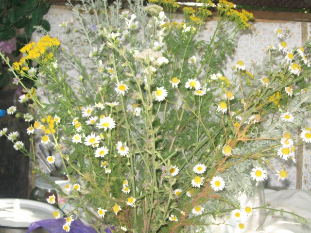 искренность - в простом!