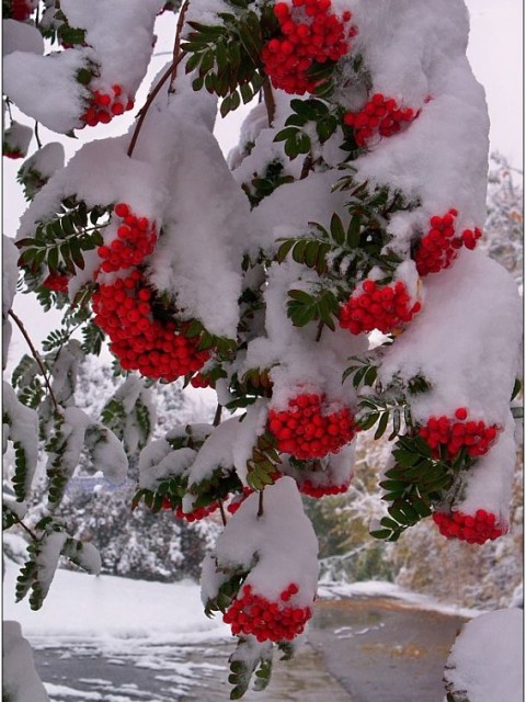 Ольга, Украина, Днепропетровск. Фото на сайте ГдеПапа.Ру