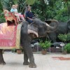 открытый зоопарк Кхао-Кхео. Тайланд