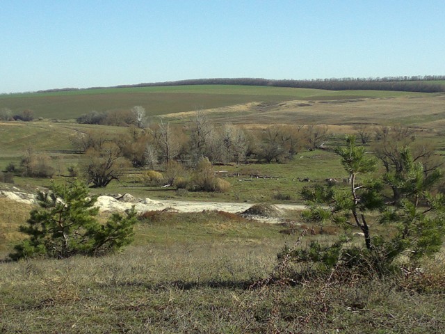 Станислав, Россия, Ростов-на-Дону. Фото на сайте ГдеПапа.Ру