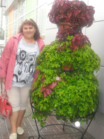 МАРИНА, Россия, ст. Ленинградская. Фото на сайте ГдеПапа.Ру