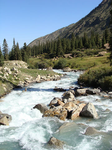 сергей, Казахстан, Алматы (Алма-Ата). Фото на сайте ГдеПапа.Ру