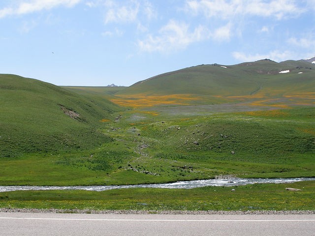 сергей, Казахстан, Алматы (Алма-Ата). Фото на сайте ГдеПапа.Ру