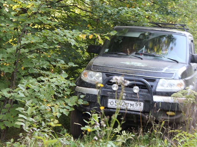 Максим, Россия, Пермь. Фото на сайте ГдеПапа.Ру