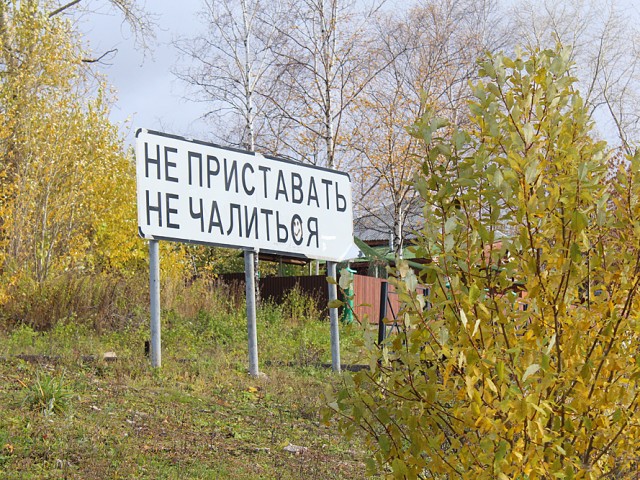 Максим, Россия, Пермь. Фото на сайте ГдеПапа.Ру