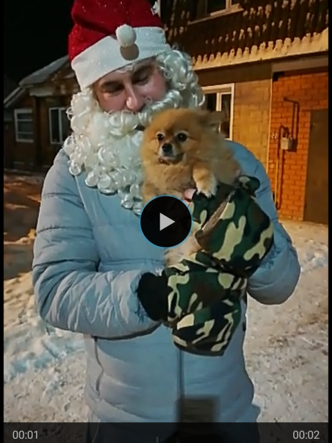 Борис, Россия, Егорьевск. Фото на сайте ГдеПапа.Ру