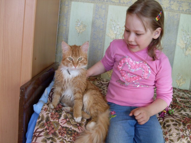 кот и дочь