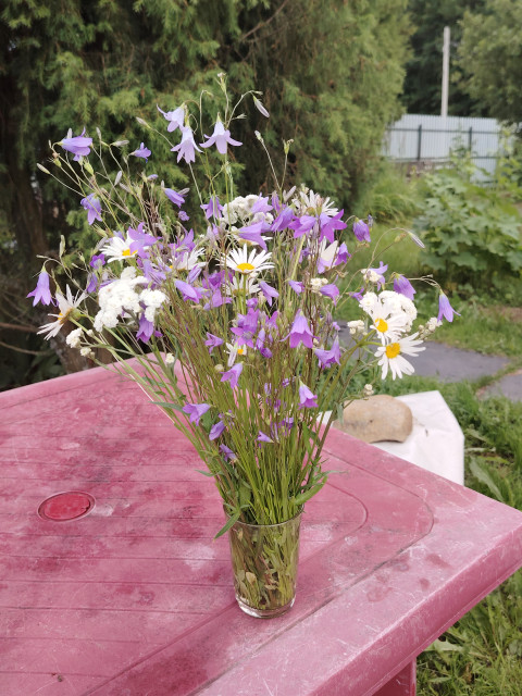 Сергей, Москва, м. Щёлковская. Фото на сайте ГдеПапа.Ру