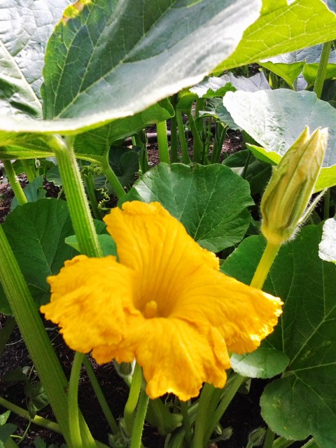 марина, Россия, Набережные Челны. Фото на сайте ГдеПапа.Ру