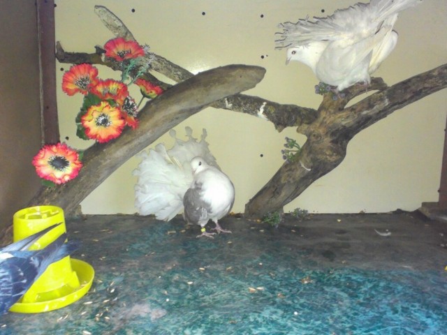 наш лагерь (фото #221910)