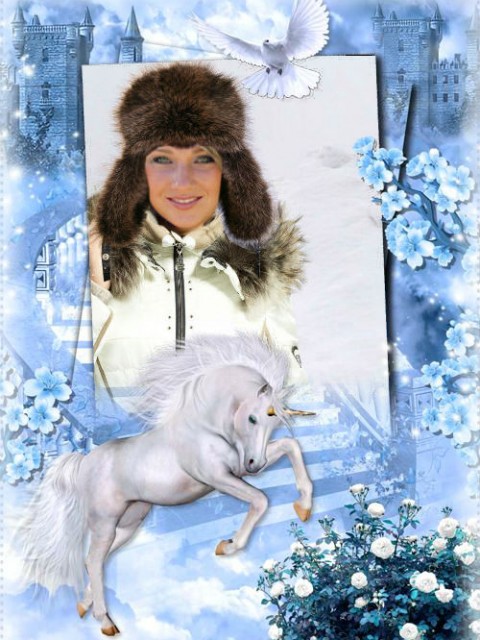 ЛИЛИЯ, Россия, Барнаул. Фото на сайте ГдеПапа.Ру