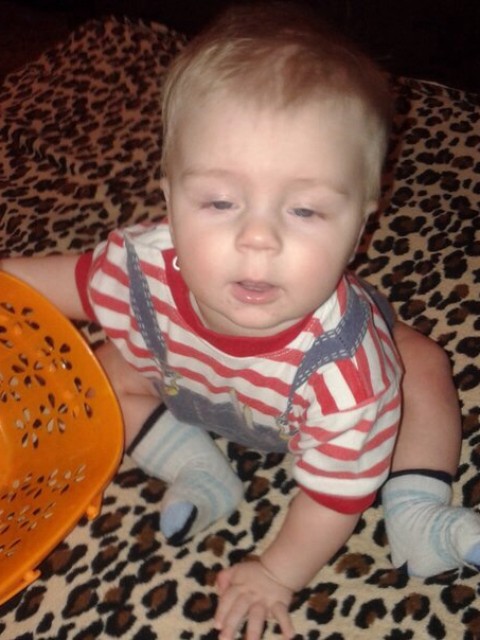 Вероника, Россия, Одинцовский район. Фото на сайте ГдеПапа.Ру