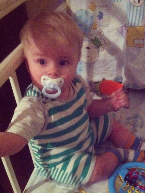 Вероника, Россия, Одинцовский район. Фото на сайте ГдеПапа.Ру