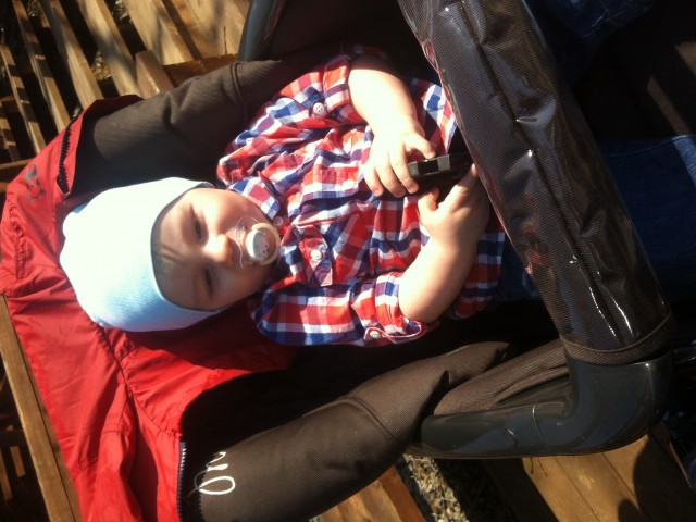 Вероника, Россия, Одинцовский район. Фото на сайте ГдеПапа.Ру