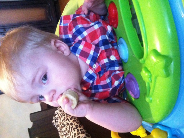 Вероника, Россия, Одинцовский район. Фото на сайте ГдеПапа.Ру