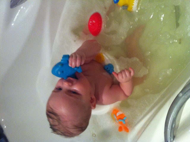 Вероника, Россия, Одинцовский район. Фото на сайте ГдеПапа.Ру