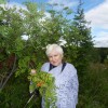 Тамара, 65, Россия, Москва