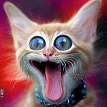 михаил, Россия, Ессентуки. Фото на сайте ГдеПапа.Ру