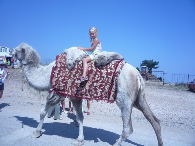 Валерий, Россия, Москва. Фото на сайте ГдеПапа.Ру