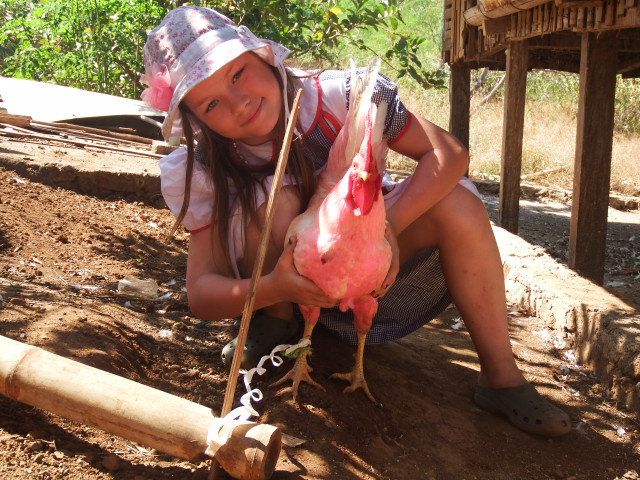 Pulau Flores, desa Lewotobi. В гостях у местных жителей: дочка с розовым петухом.