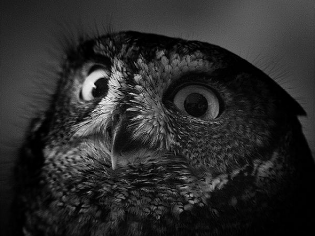 Tatiana, Москва, 55 лет, 2 ребенка, 4 фото. Ищу: Хорошего, умного и порядочного человека. Без вредных привычек (пьянство и наркомания). Готового к построению...  Анкета 78086. 