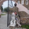 вадим, Россия, Истра. Фотография 240485