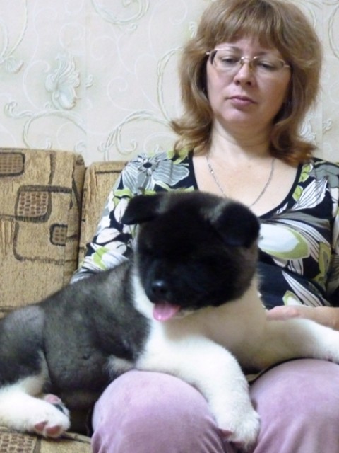 ирина, Россия, Кольчугино. Фото на сайте ГдеПапа.Ру