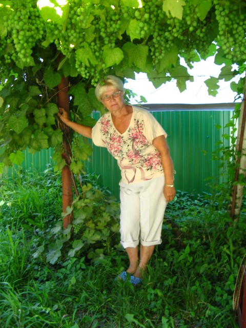 Галина, Россия, Санкт-Петербург, 74 года, 3 ребенка. Пенсионерка.Одинока. Имею  высшее  педагогическое  образование. Очень  хочу  подружиться  с одинокой