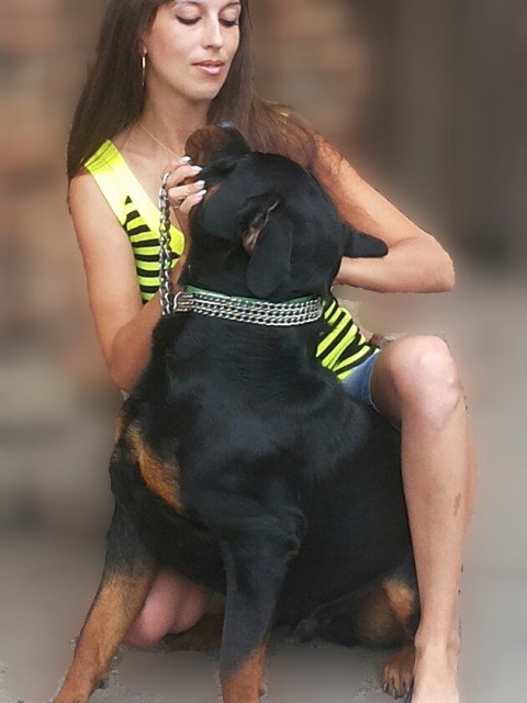 Марина, Россия, Ростов-на-Дону, 44 года, 6 детей. Она ищет его: Доброго надёжного и единственногоОбычная внешность. Люблю детей. Как и многие просто хочу семью, честных отношений...